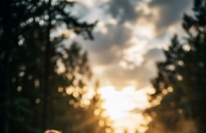 Five Kids Were in Danger — Then a Small, Sick Dog Did Something Unbelievable