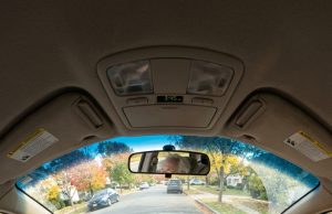 My eighty-year-old father suffered a stroke while driving his Camry on a quiet Wednesday afternoon in Greensboro. Paralyzed and unable to cry for help, he drifted toward the curb in silence. But in the back seat, his Golden Retriever—who had never once sat up front in her eleven-year life—mastered the car horn in nine seconds flat.