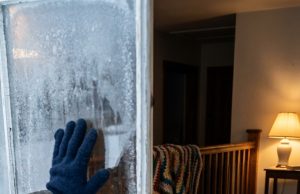 A milk delivery driver in Vermont shattered a glass bottle on a frozen porch when he caught a glimpse of something through the window of a farmhouse at 9:14 a.m. Later, when the emergency room doctor explained exactly how my eighty-two-year-old father had survived the night on that floor, I had to pull my car off the highway just to breathe.